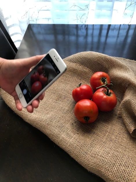 A close-up of a desk setup with a Pomodoro timer app running on a smartphone. The desk is neat and organized, with essential items like a notebook, pen, and a cup of tea within easy reach. Soft, natural light filters in from a nearby window.