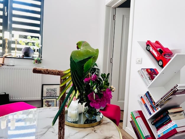 A small, unused corner of a living room transformed into a functional home office with a compact desk, wall-mounted shelves, and a comfortable chair. The space is well-lit and decorated with personal touches to make it inviting.