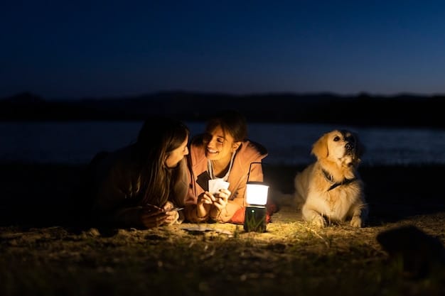 A digital nomad couple sitting outside their RV, petting their dog, with a scenic campground in the background.