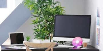 Optimize Your Workspace: Boost Productivity with Ergonomics - Cover Image