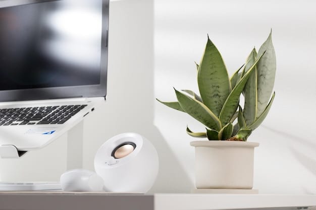 A clean desk setup with ergonomic chair, monitor at eye level, and a plant. The lighting is soft and inviting.